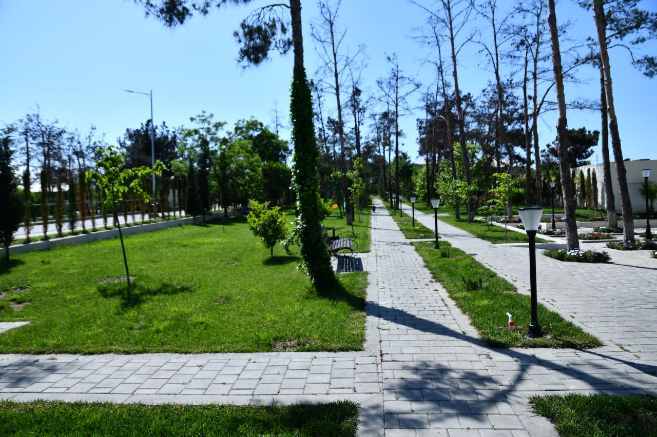 Санаторий PARK NAFTALAN - 2352